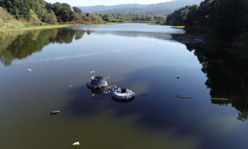 Is there a technological solution to aquatic dead zones?