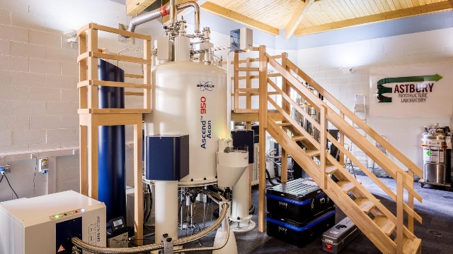 Protein Region Is Central to Parkinson's Pathology