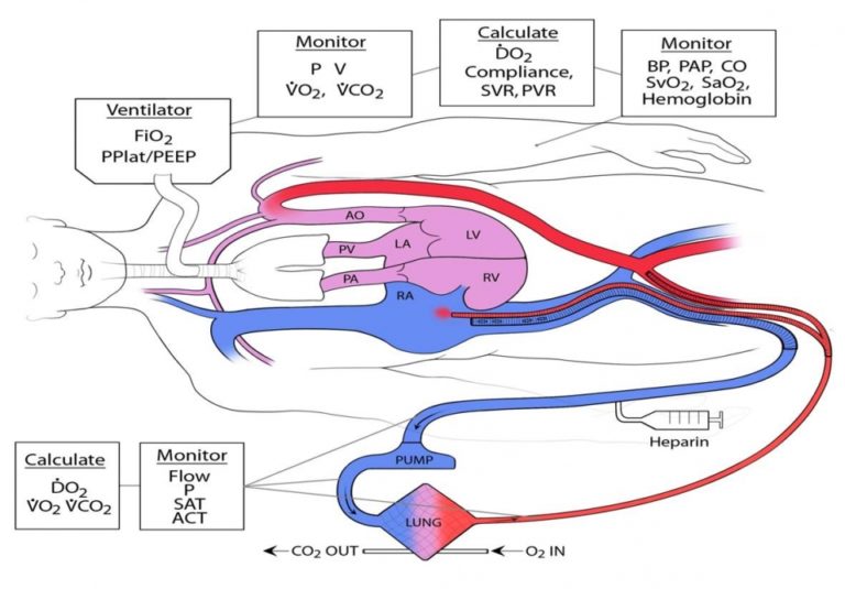 Technology engineered at ASU 50 years ago helps battle COVID-19
