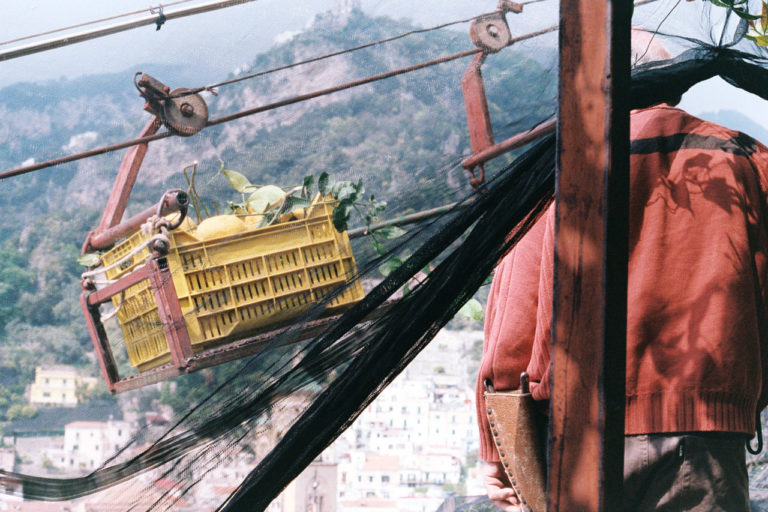Around Italy in Vintage Citrus-Growing Technology