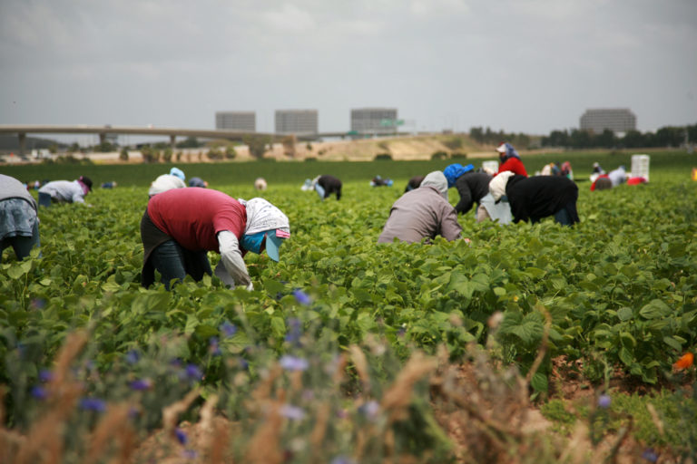 More COVID-19 Outbreaks Are Hitting Farmworkers