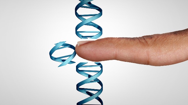 Silencing the SARS-CoV-2 Receptor With CRISPR and Epigenetic Modifications