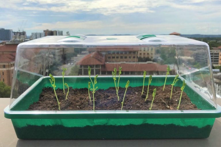 Engineers Are Developing Self-Watering Soil for Drought Farming