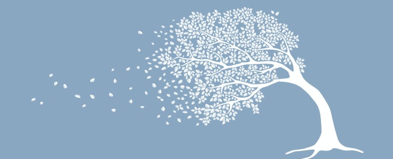 To Weather The Storms of Higher Education, Remember Why You’re There