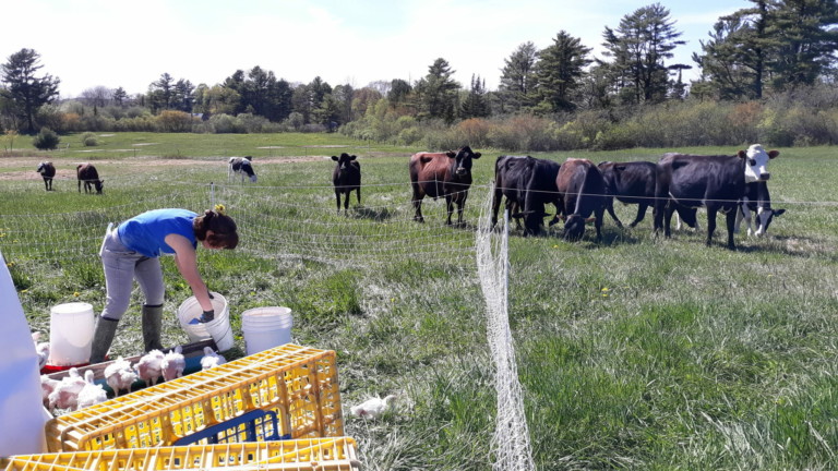 Small Ranchers, Big Problems