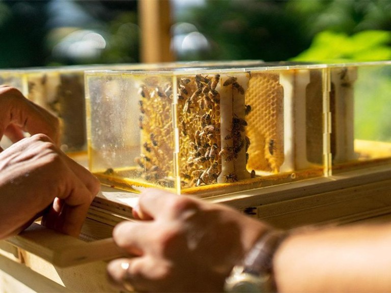 Nine Attention-Grabbing Inventions Unveiled at This Year’s CES