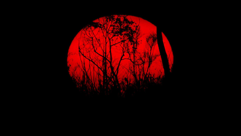 Under a White Sky Asks if We Can Fix Nature—or if We Even Should