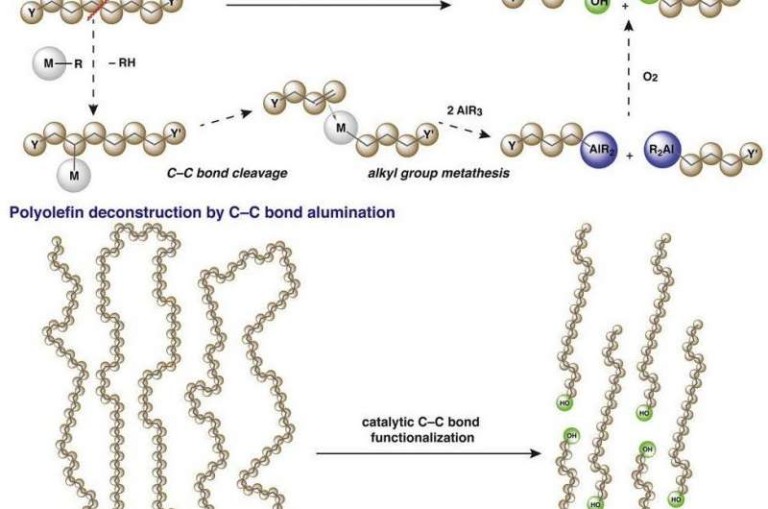 Plastics could see a second life as biodegradable surfactants