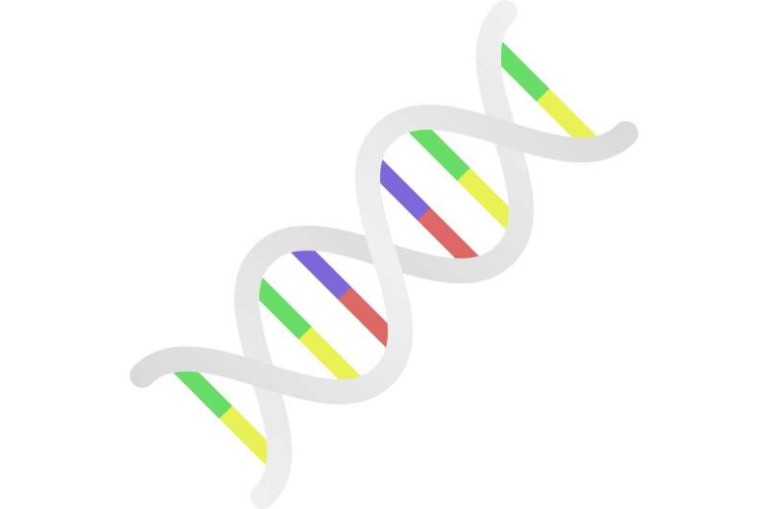 What is mRNA? What you should know about the key ingredient in some COVID-19 vaccines