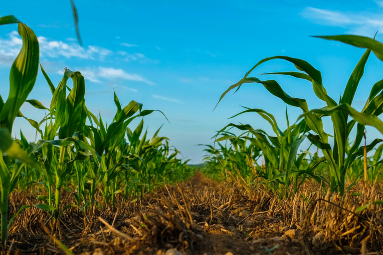 Environmental Groups Call Biden’s Carbon Bank Plan a ‘Scam’