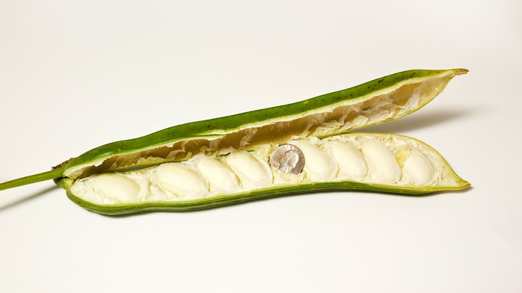 Capitalism Won’t Thrive on Value Investing Alone