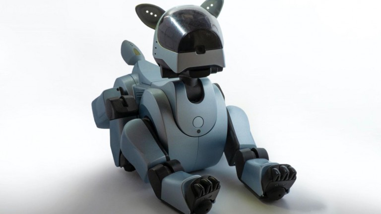 Robots may be more like animals than humans