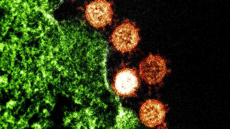 Gain-of-Function Research: All in the Eye of the Beholder