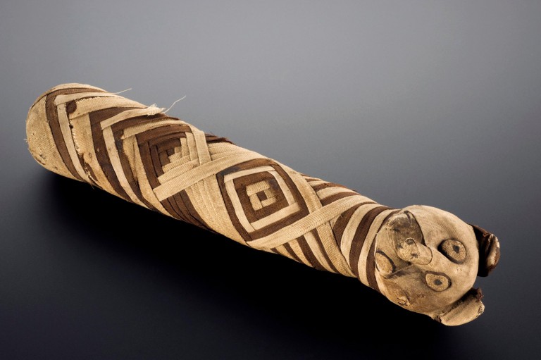 Can Mummified Cats Help Unravel the Mysteries of Ancient Dyes?