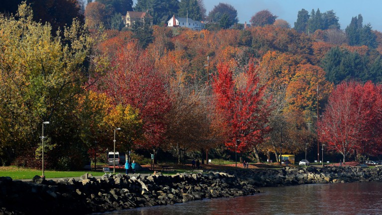 Good news: You don't need to rake your leaves. Experts explain why