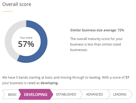 Federal government creates new online digital maturity assessment tool for businesses