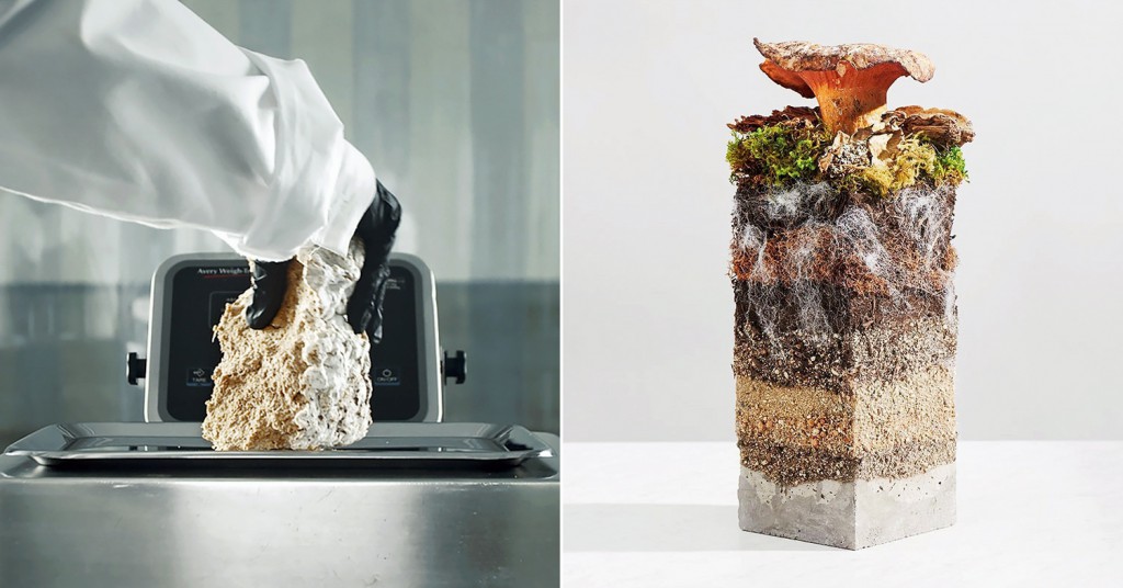 Sustainable Tech That Blew Our Minds in 2021