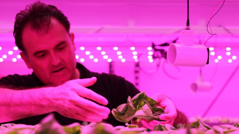 Expect vertical farming to continue to gain credibility as a reliable food source