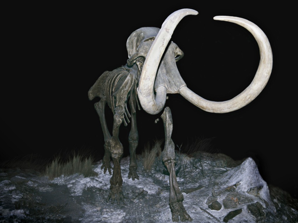 You're (Maybe) Gonna Need a Patent for That Woolly Mammoth