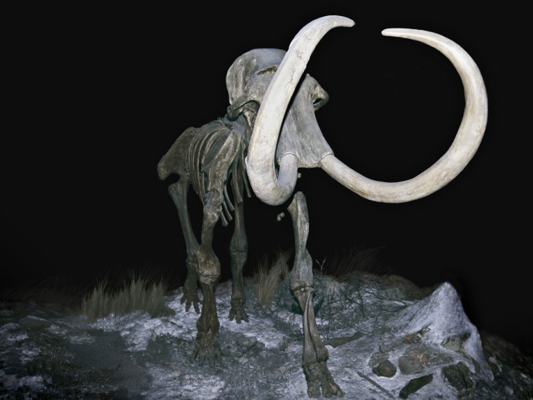 You're (Maybe) Gonna Need a Patent for That Woolly Mammoth