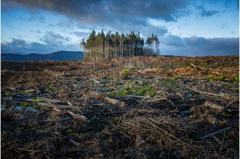 How politics, society, and tech shape the path of climate change