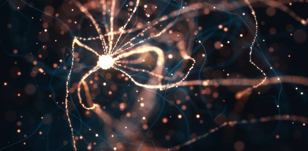 New AI technique identifies dead cells under the microscope 100 times faster than people can – potentially accelerating research on neurodegenerative diseases like Alzheimer’s