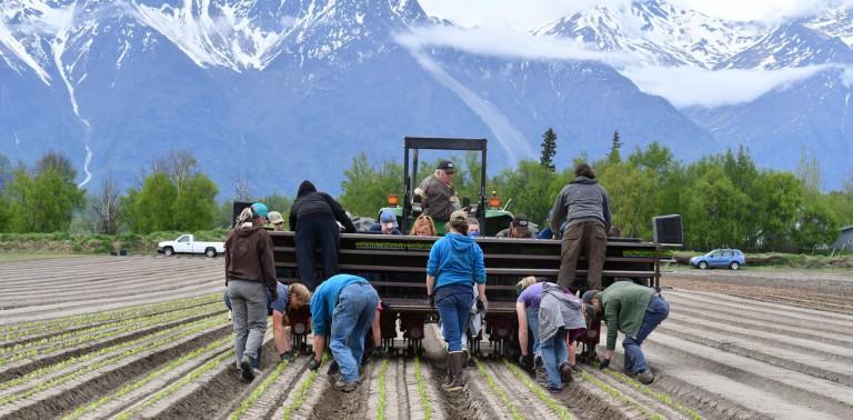 Climate change could enable Alaska to grow more of its own food – now is the time to plan for it
