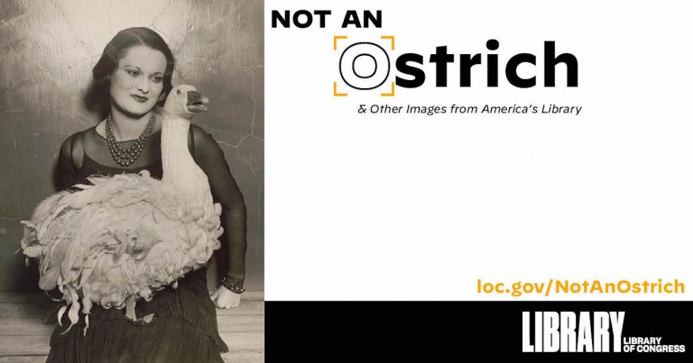 March 22, 2022 Exhibition Showcases Photography from America's Library