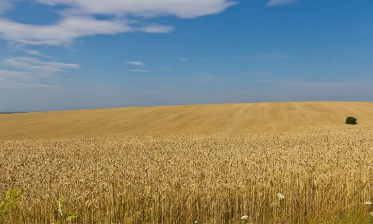 How the War in Ukraine Could Trigger a Food Crisis