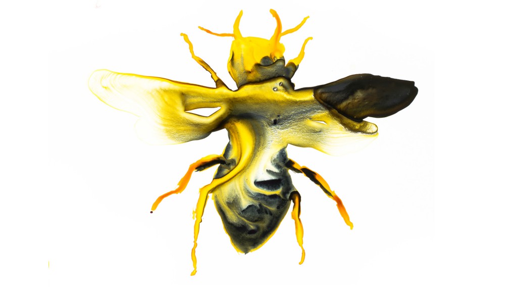 The Bittersweet Parable of the Planet’s Biggest Bee