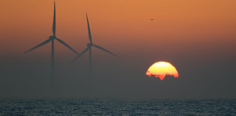 Wind turbines can breathe new life into our warming seas