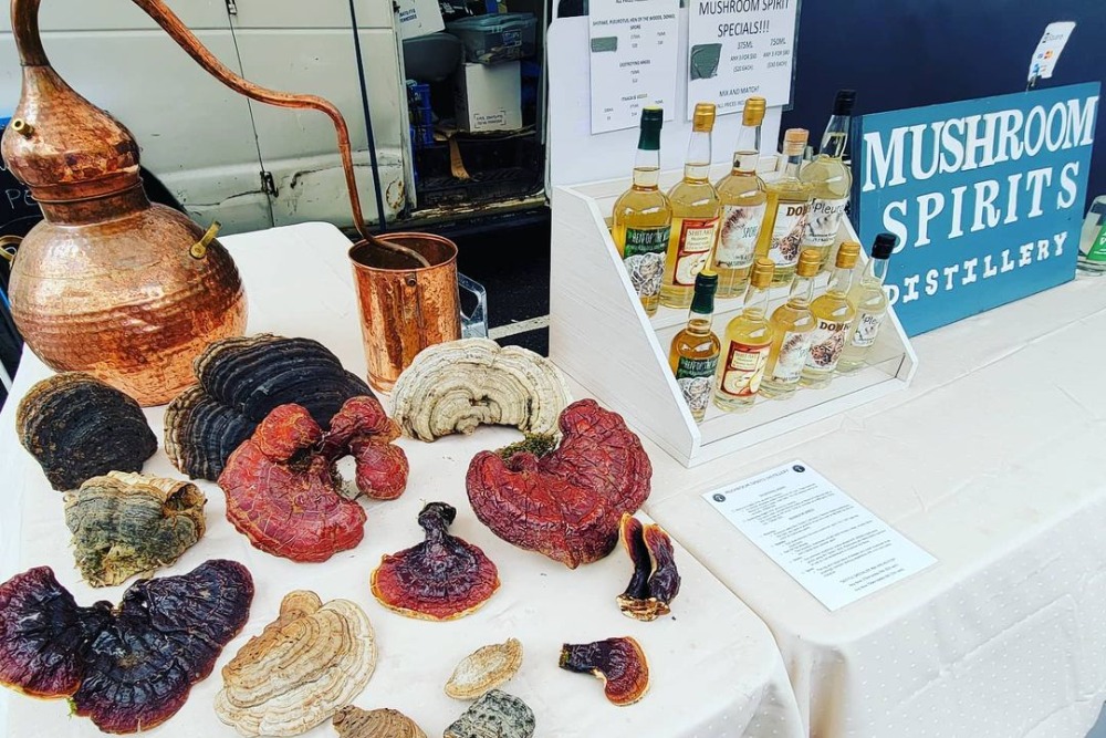 Fungi Come First in this Line of Mushroom-Infused Vodkas