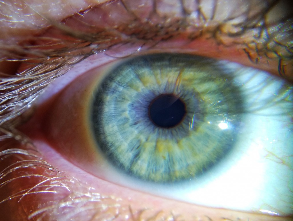 Science Confirms That Life Flashes Before the Eyes Upon Death