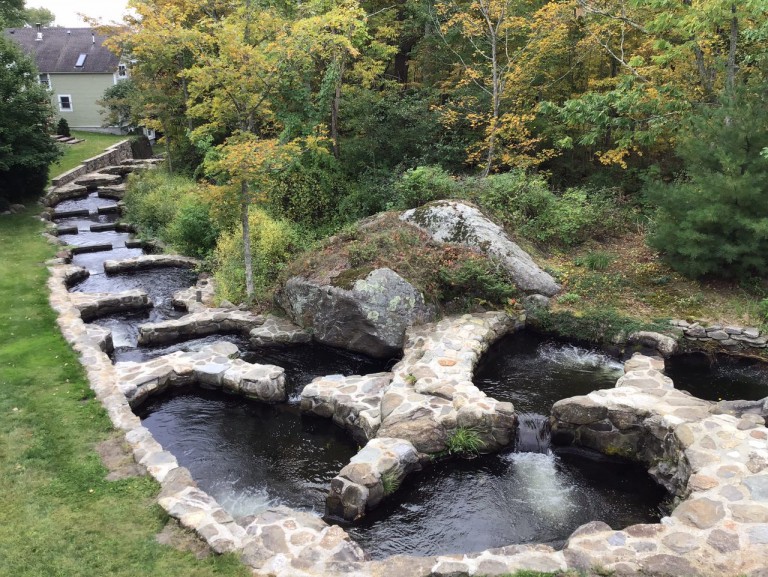 The Centuries-Old Fish Ladder that Feeds Maine’s Lobster Industry