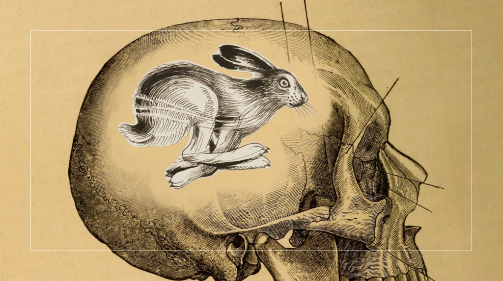 System 1 vs. System 2 thinking: Why it isn’t strategic to always be rational