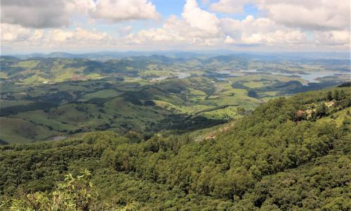 The Benefits and Power of Assisted Natural Regeneration