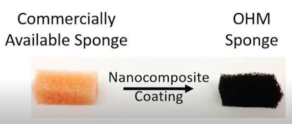 Q&A: Researchers develop sponge that can collect oil, phosphates and now microplastics from polluted waters