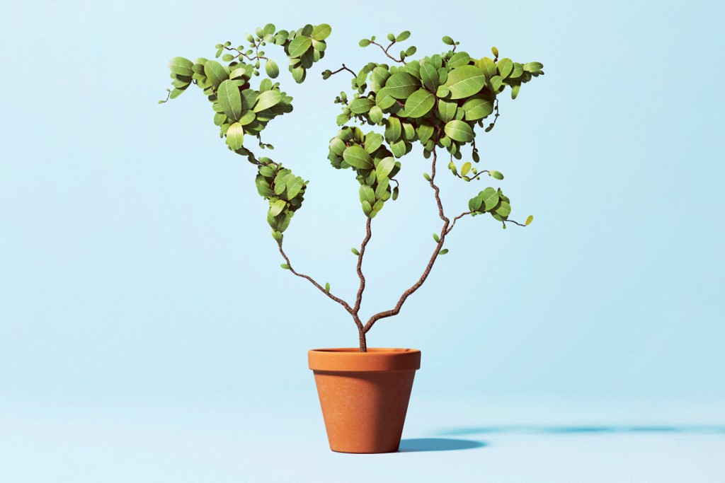 The Climate Fight Isn’t Lost. Here Are 10 Ways to Win