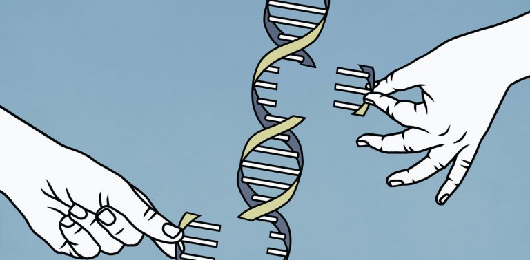 The Human Genome Project pieced together only 92% of the DNA – now scientists have finally filled in the remaining 8%