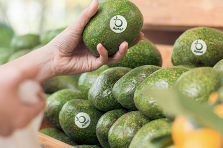 The challenges of scaling climate tech