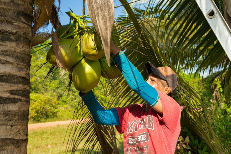 How High-Pressure Processing Is Helping Remote Farmers Bring Fresher Foods to Market