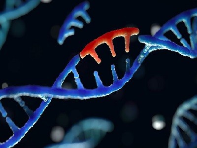 Base edit your way to better crops