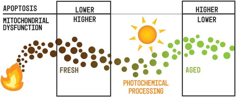 Smoke from wildfires ages in the atmosphere