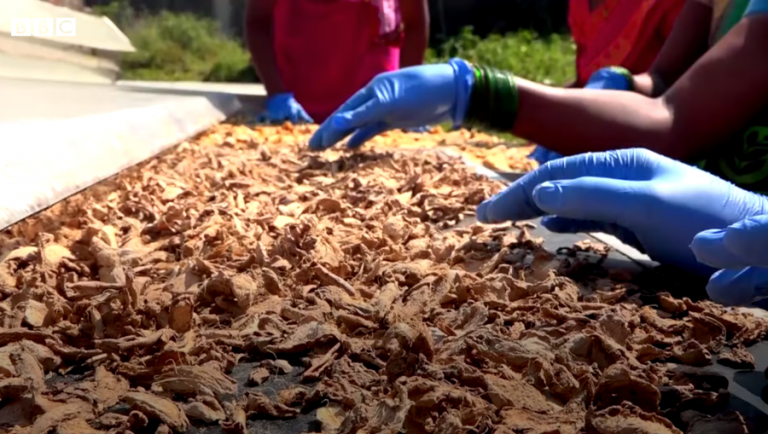 How can the sun help us fight food waste?