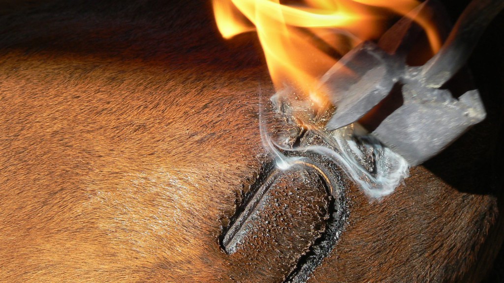 Don’t fall into the personal brand trap