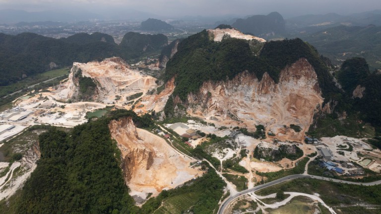 Earth Is On Track To Lose More Than 1,000 Wild Mammal Species, UN Report Says