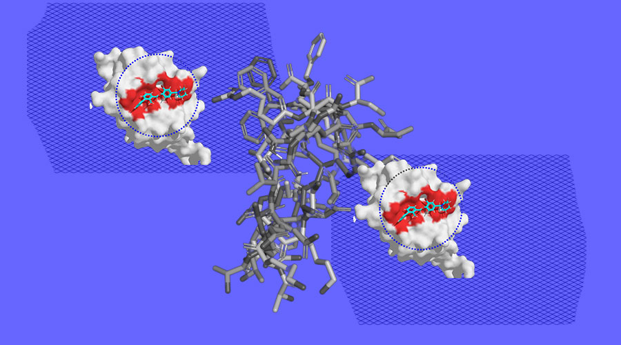 New deep learning AI model called EquiBind is 1,000 times faster than existing models