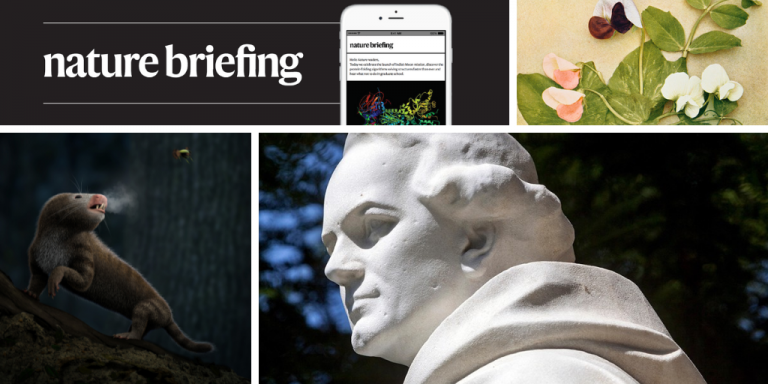 Daily briefing: More Australian mammals have gone extinct than on any other continent