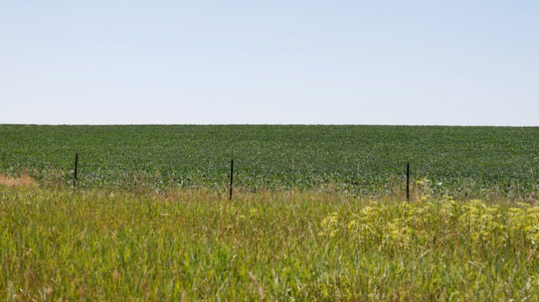 With Corn Belt Inching North, Farm Diversification Gains Momentum