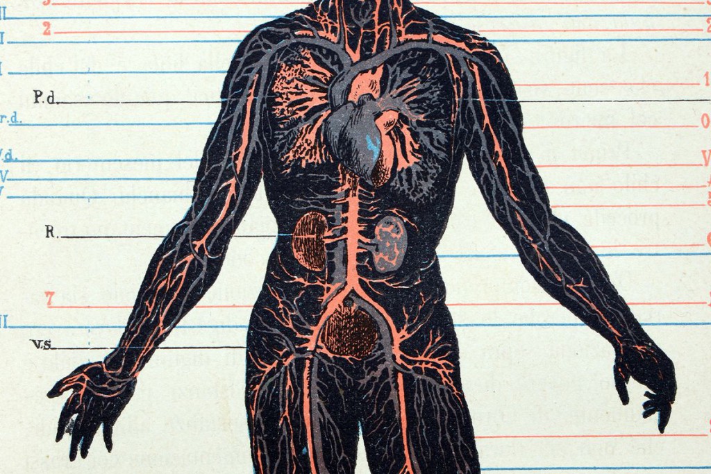 You probably have “forever chemicals” in your body. Here’s what that means.